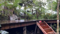 Untuk para pecinta petualangan, Tankaman Natural Park menawarkan jalur tracking yang menantang. Bersama guide, traveler akan diajak menapaki jalur pendakian di sekitar area hutan sejauh 4 kilometer dengan estimasi 3 jam perjalanan.  