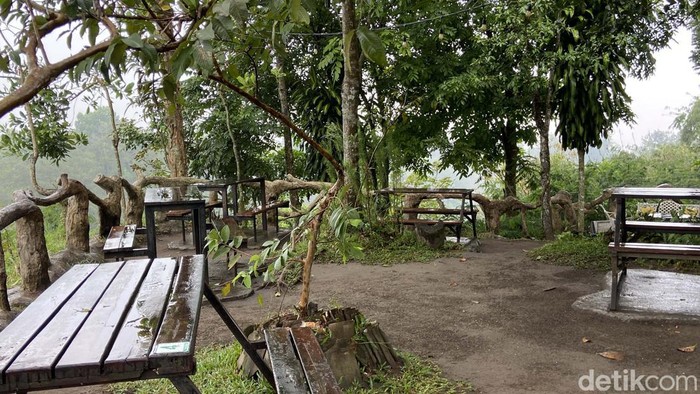 Pesona Tankaman Natural Park, Aktivitas Seru dengan Pemandangan Bukit Hijau