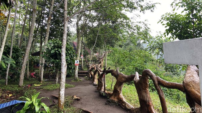 Tankaman Natural Park menawarkan berbagai aktivitas seru yang memanfaatkan keindahan alam sekitar. Mulai dari makan with view hingga jalur pendakian selama 4 jam.