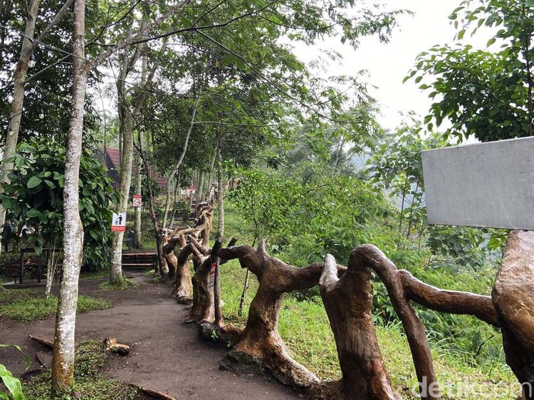 Pesona Tankaman Natural Park, Aktivitas Seru dengan Pemandangan Bukit Hijau