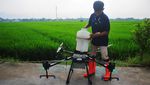 Petani Kudus Semprotkan Pestisida Pakai Drone, Begini Potretnya