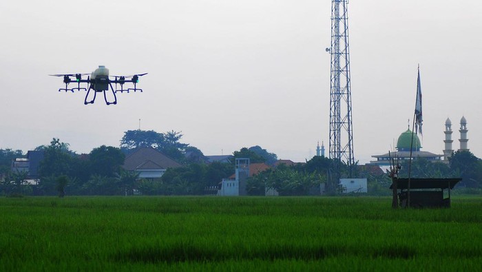 Petani Semprotkan Pestisida Pakai Drone, Begini Potretnya Pesawat drone terbang menyemprotkan pestisida di lahan pertanian Kelurahan Mlati Norowito, Kota, Kudus, Jawa Tengah, Senin (1/7/2024). Sejumlah petani di wilayah itu mulai beralih menggunakan jasa penyemprotan pestisida dengan teknologi drone yang dinilai lebih efisien untuk menekan biaya produksi dibandingkan cara konvensional, yaitu dengan tarif Rp250 ribu per hektar. ANTARA FOTO/Yusuf Nugroho/rwa.