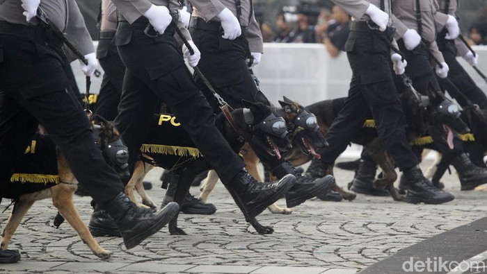 Sejumlah personel polisi mengikuti upacara peringatan HUT ke-78 Hari Bhayangkara di Kawasan Monas, Jakarta, Senin (1/8/2024). HUT ke-78 Bhayangkara mengangkat tema Polri Presisi Mendukung Percepatan Transformasi Ekonomi yang Inklusif dan Berkelanjutan Menuju Indonesia Emas.