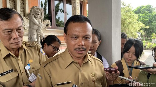 Sekda Provinsi Bali Dewa Made Indra di gedung DPRD Bali, Senin (1/7/2024). (Rizki Setyo Samudero/detikBali)