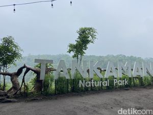 Pesona Tankaman Natural Park: Tempat Hiking dan Camping di Kaki Gunung Merapi