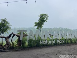 Pesona Tankaman Natural Park: Tempat Hiking dan Camping di Kaki Gunung Merapi