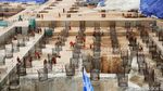 Proyek Gedung Oasis Central Sudirman Dilanjut, Ini Potretnya