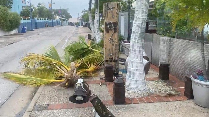 Badai Berbahaya Acak-acak Kota di Barbados Palm plants lay on a sidewalk after Hurricane Beryl passed in Bridgetown, Barbados, July 1, 2024 in this screen grab obtained from social media video. @GeoffLemonSport via X/via REUTERS THIS IMAGE HAS BEEN SUPPLIED BY A THIRD PARTY. MANDATORY CREDIT. NO RESALES. NO ARCHIVES.