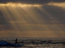 Berselancar di Suasana Syahdu Pantai Cardiff