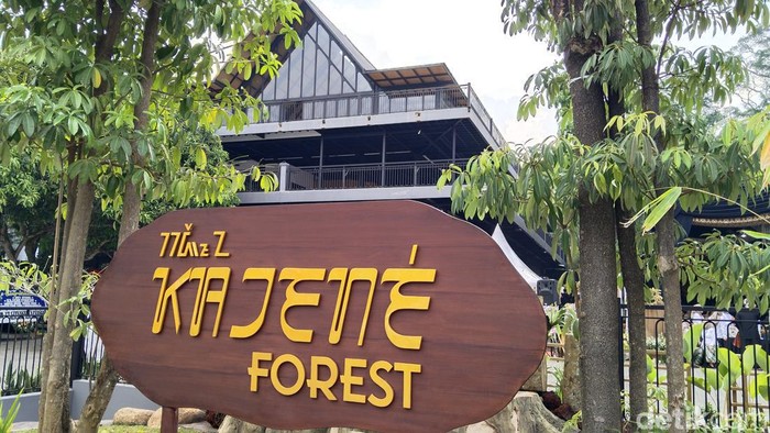 Kajene Forest di Kuningan