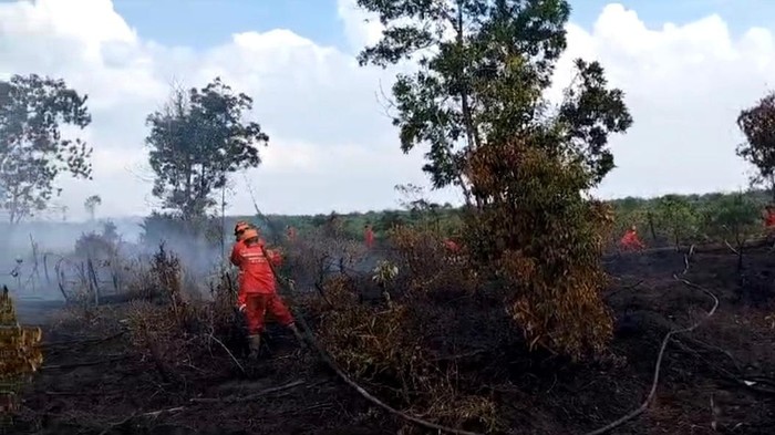 Manggala Agni padamkan Karhutla di Banyuasin.