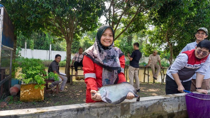 Pertamina KPI RU III Plaju lestarikan ikan belida di Palembang.
