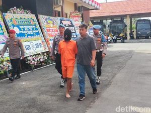 Pria Bali Dibekuk Terkait Penyelundupan Benih Bening Lobster Rp 1,6 M di YIA