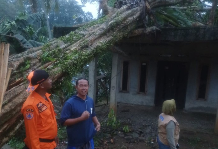 Angin kencang melanda Desa Cileungsi, Kecamatan Ciawi, Kabupaten Bogor, Jawa Barat. Akibatnya dua pohon tumbang menimpa satu rumah warga.