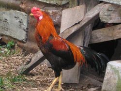 15 Fakta Random di Dunia yang Mind Blowing