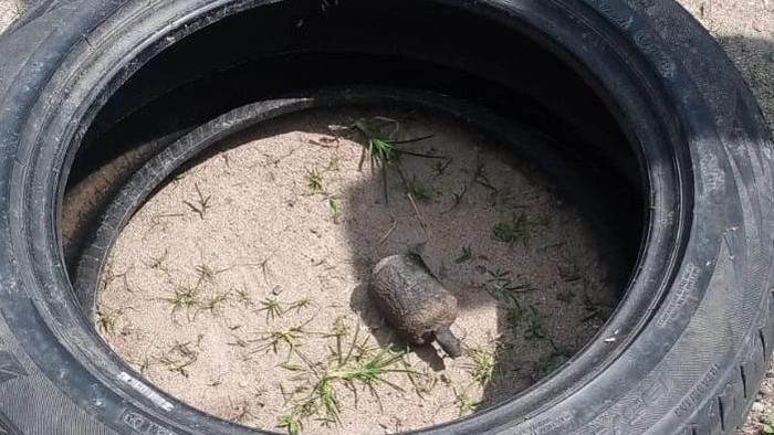 Benda asing diduga granat yang ditemukan warga di Legok, Kota Jambi.