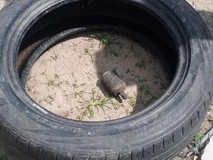 Jibom Ledakan Granat yang Ditemukan Bocah saat Cari Kerang di Jambi