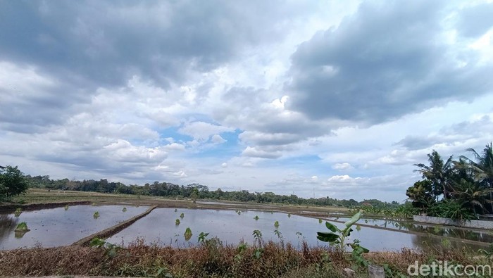 Cuaca mendung menggelayut di langit Godean Sleman, Rabu (3/7/2024).