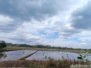 Prakiraan Cuaca Bandung, Jumat 4 Oktober  2024: Berawan