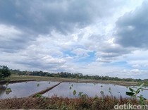 Prakiraan Cuaca Bandung, Jumat 20 September 2024: Berawan Tebal