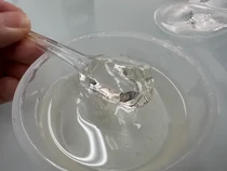 Di Jepang Kini Ada Puding Tembus Padang yang Bikin Penasaran