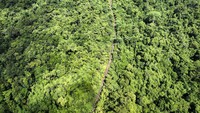 Untuk itu, Lapangan Produksi Migas Klamono tercatat menjadi salah satu cikal bakal di Papua yang hingga kini masih beroperasi. Data dari Pertamina EP Papua Field menunjukkan angka produksi pada lapangan produksi tersebut sebesar 772 barel minyak per hari (BOPD) per 10 Juni 2024.