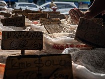 Aduh! Harga Beras Mulai Naik