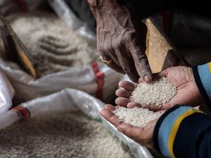 RI Bidik Produksi Beras hingga November Tembus 1,72 Juta Ton