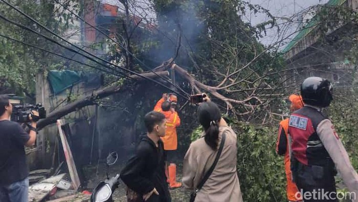 Hujan dengan angin kencang terjadi di wilayah Jakarta. Satu pohon di Jalan Kapten Tendean, Mampang Prapatan, Jakarta Selatan (Jaksel), tumbang. (Iqbal/detikcom)