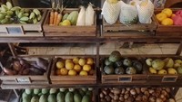 Mereka juga menjual sayuran organik. Untuk sayuran organik, harganya mulai dari Rp 12.500 per pack seberat 200 gram. Sedangkan untuk tanaman, harganya mulai dari Rp 50.000 sampai Rp 125.000 tergantung jenis tanamannya. (Muhammad Lugas Pribady/detikTravel)
