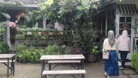 Areal yang luas dan banyak ditanami tumbuh-tumbuhan serasa berada di rumah sendiri. Mandiras Garden memang mengedepankan bahan-bahan organik yang berasal dari kebun sendiri. (Muhammad Lugas Pribady/detikTravel)
