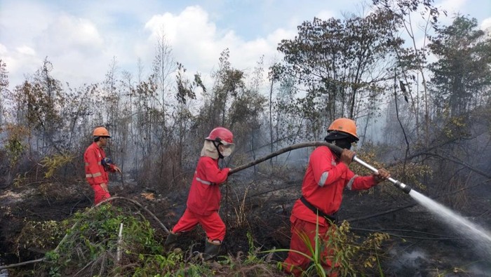 Manggala Agni upayakan pemadaman Karhutla di Sungai Rengit, Banyuasin.