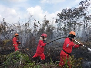 4 Hektare Lahan di Banyuasin Masih Terbakar, Manggala Agni Fokus Pemadaman