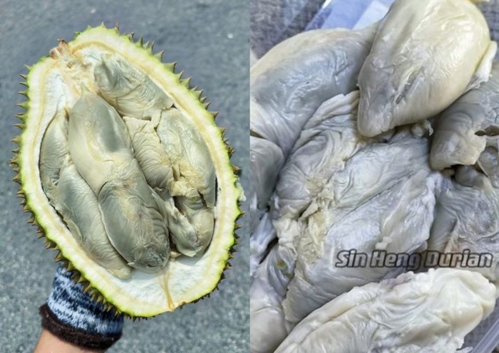 Pembeli Ini Protes Diberi Durian Busuk Ternyata Jenis Durian Enak