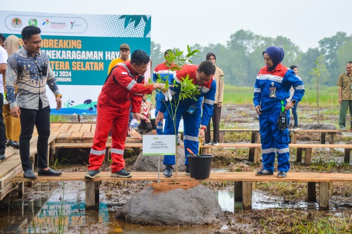 Pemprov Sumsel-Pertamina Sinergi Bangun Taman Rawa, Tanam 55 Spesies Pohon Langka