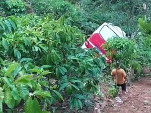Polisi Ungkap Dugaan Penyebab Bus Ranau Masuk Jurang di Lampung