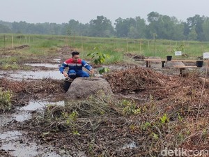 KPI RU III Plaju Bangun Taman Kehati di JSC Palembang, Ditanami Pohon Langka