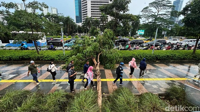 Sejumlah pekerja melintasi pohon tumbang di seputaran Stasiun Sudirman, Jakarta, Rabu (3/7/2024). Pohon tumbang ini diakibatkan oleh hujan deras yang disertai angin kencang pada sore ini.