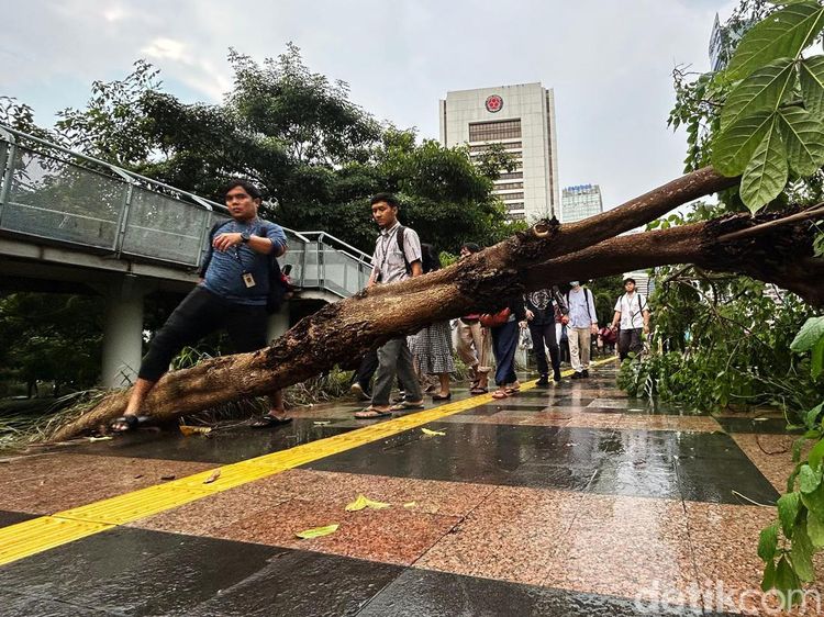 Hujan Deras Bikin Pohon Tumbang di Dekat Stasiun Sudirman