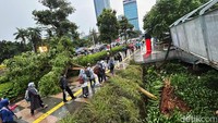 Warga harus melompati pohon yang melintang di atas trotoar tersebut.