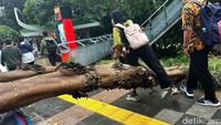 Seperti diketahui, hujan deras mengguyur Jakarta sore ini. Hujan deras itu disertai dengan angin kencang.