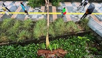 Hujan deras disertai angin kencang itu mengakibatkan pohon tumbang di sejumlah titik di Jakarta.