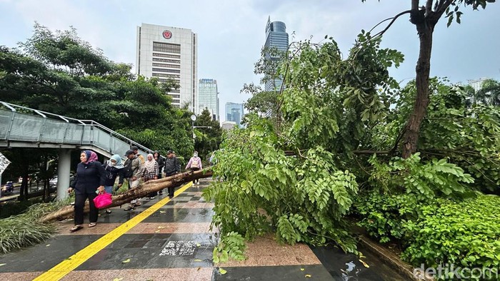 Pohon Tumbang di Dekat Stasiun Sudirman Sejumlah pekerja melintasi pohon tumbang di seputaran Stasiun Sudirman, Jakarta, Rabu (3/7/2024). Pohon tumbang ini diakibatkan oleh hujan deras yang disertai angin kencang pada sore ini.
