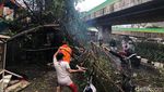 Pohon Tumbang Juga Terjadi di Jalan Tendean Jaksel, Ini Potretnya