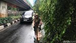 Pohon Tumbang Juga Terjadi di Jalan Tendean Jaksel, Ini Potretnya