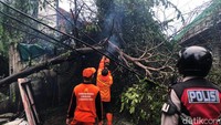 Sebatang pohon tumbang akibat hujan deras disertai angin kencang di Jalan Tendean, Jakarta, Rabu (3/7/2024).