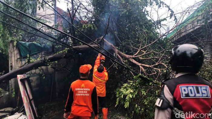Hujan deras disertai angin kencang juga mengakibatkan sebatang pohon tumbang di Jalan Tendean, Jakarta, Rabu (3/7/2024). Saat ini pohon tumbang itu sudah dievakuasi.
