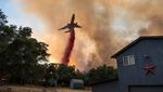 Potret Kebakaran Hutan di California