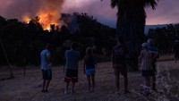 Warga melihat kebakaran hutan yang terjadi.  