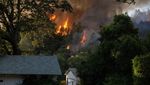 Potret Kebakaran Hutan di California